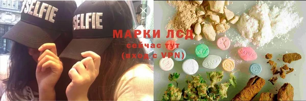 тгк Бердск