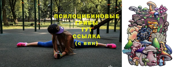 метадон Абаза